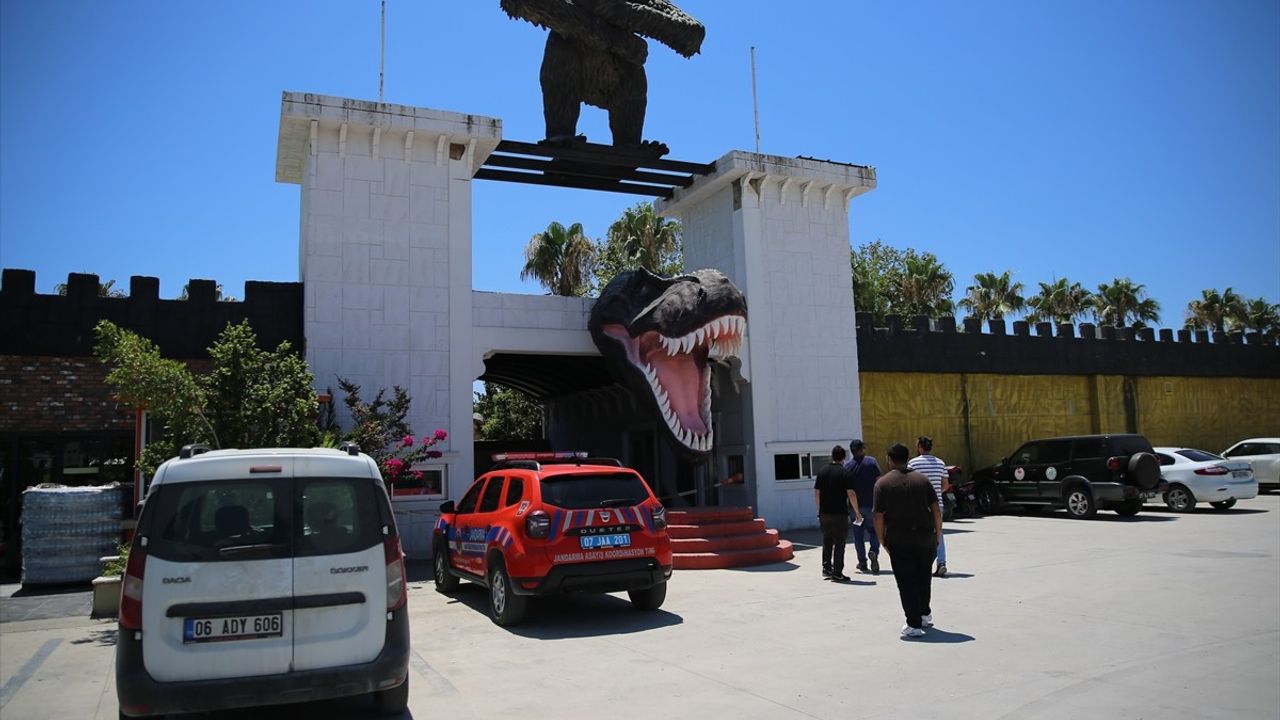 Manavgat'taki Hayvan Parkında Aslan Kaçışı Sonrası Denetim