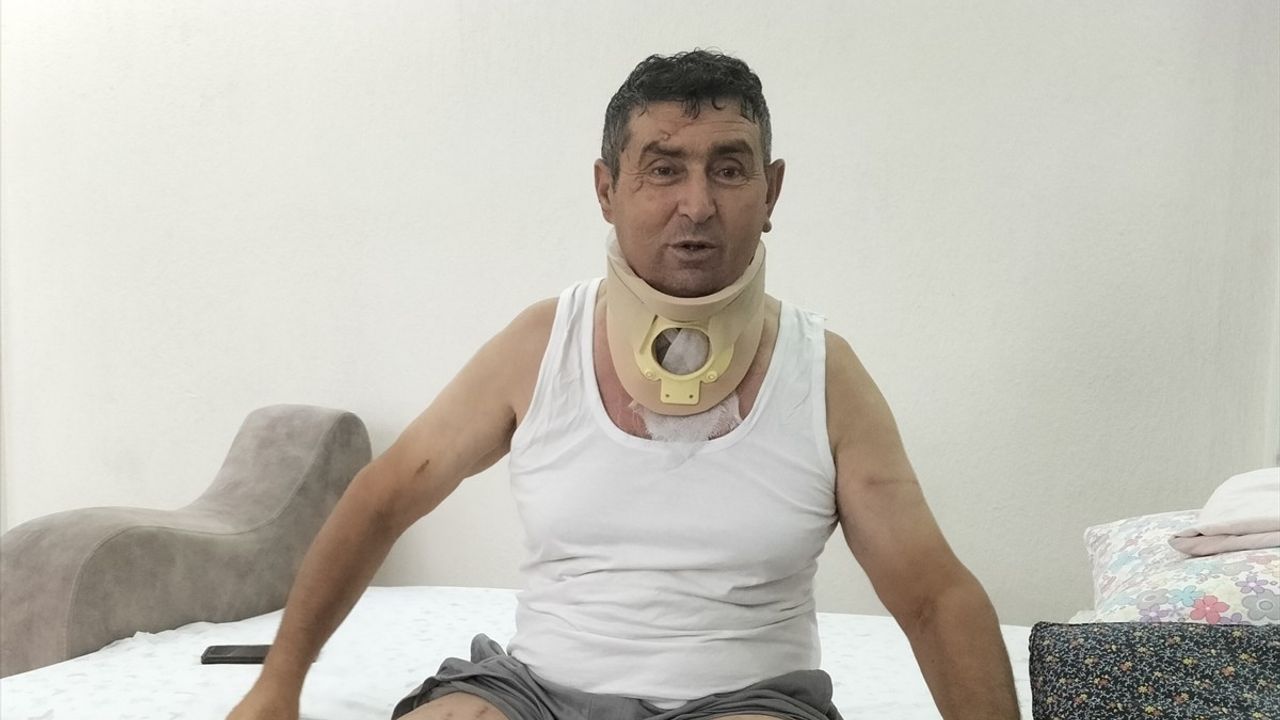 Manavgatlı Çiftçi Aslan Saldırısının Üzerinden Atamadı