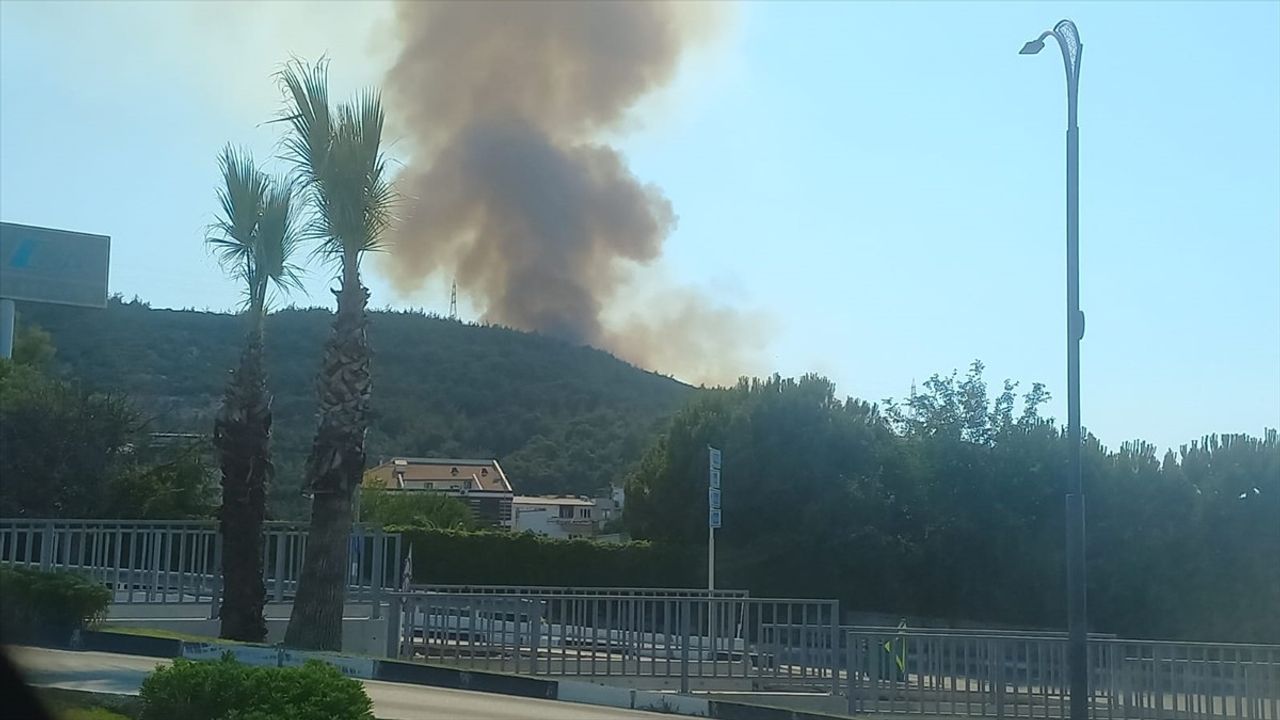 Manisa'da Orman Yangını Kontrol Altına Alınıyor