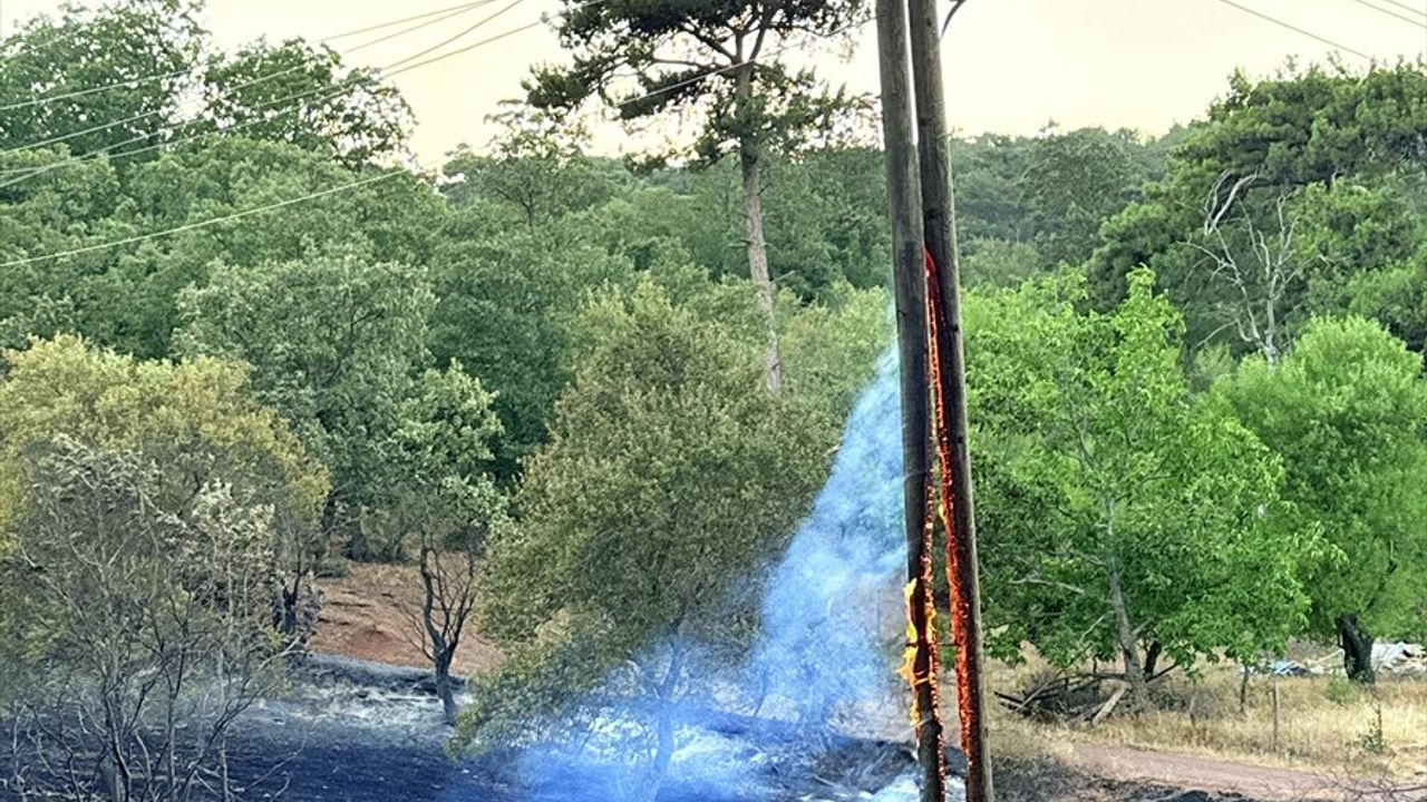 Manisa'da Orman Yangınına Hızlı Müdahale