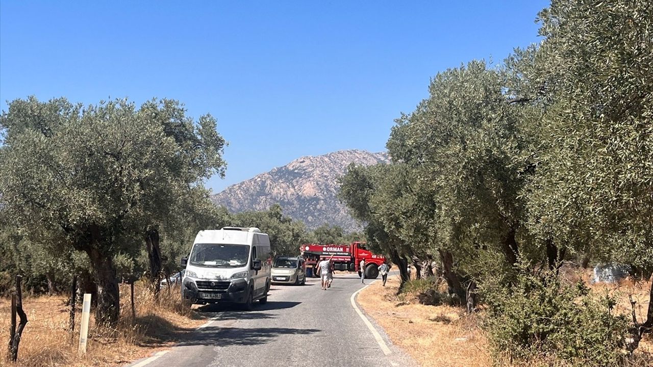 Milas'taki Orman Yangınına Müdahale Devam Ediyor