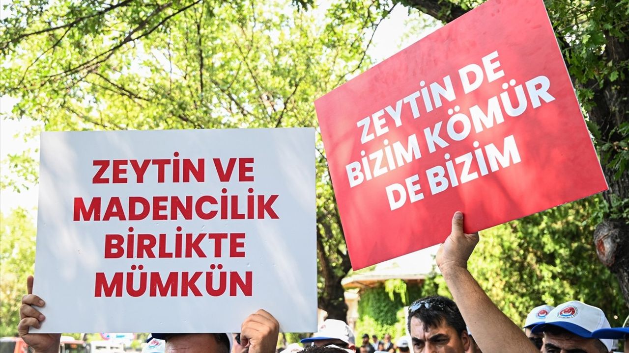 Muğla'da Enerji ve Maden Düzenlemesine Destek Gösterisi