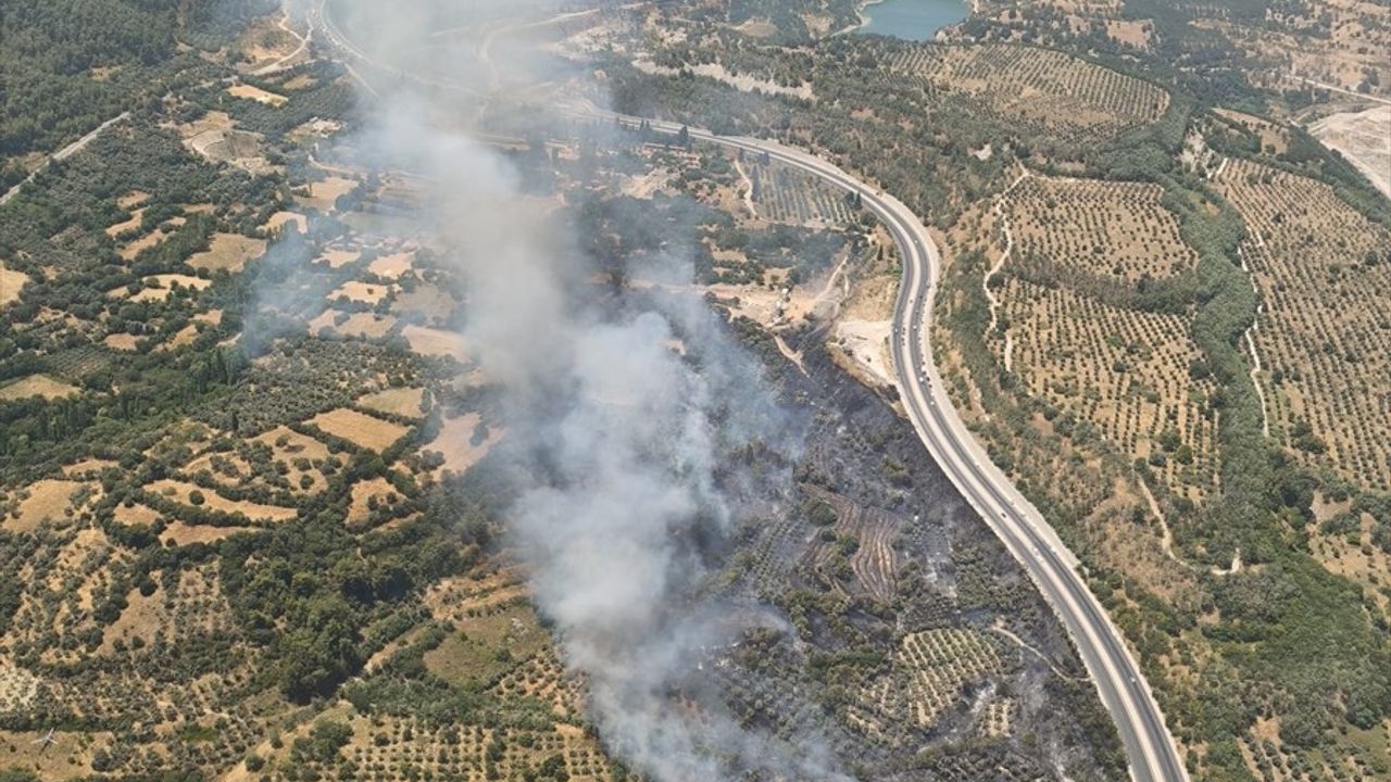 Muğla'da Tarım Alanında Yangın Kontrol Altına Alınıyor