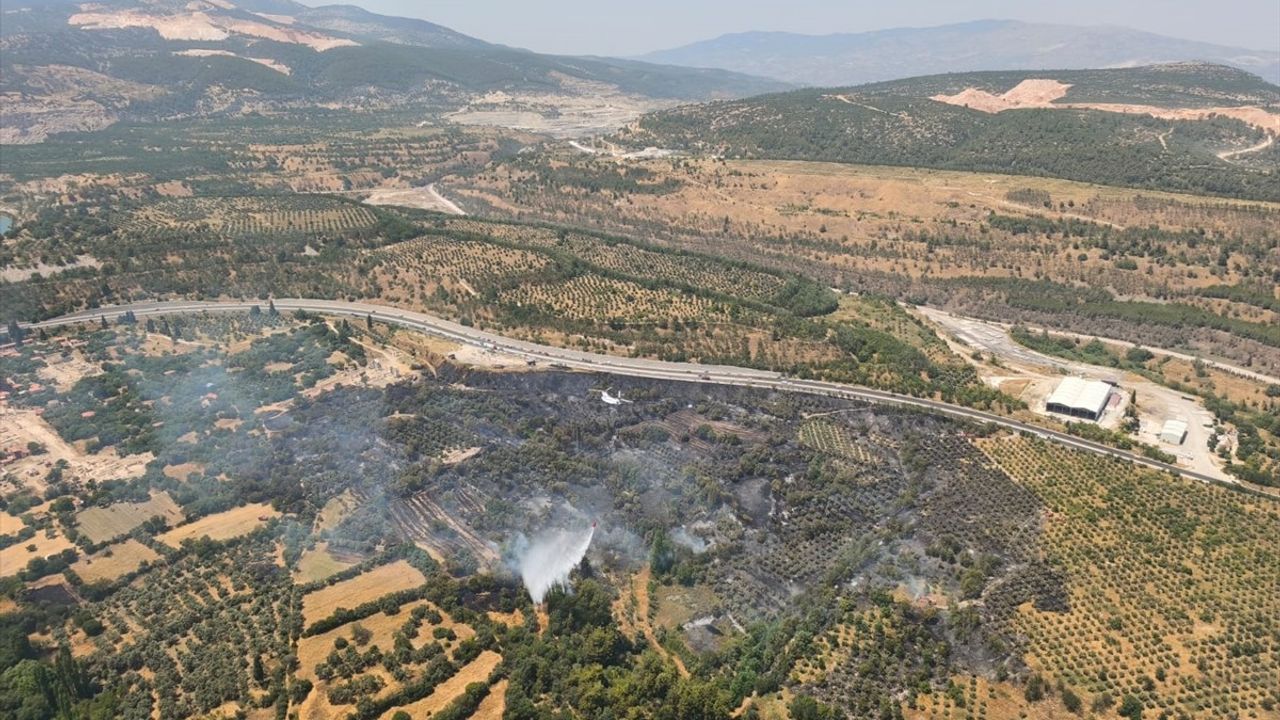 Muğla'da Tarım Arazisinde Yangın Kontrol Altına Alındı