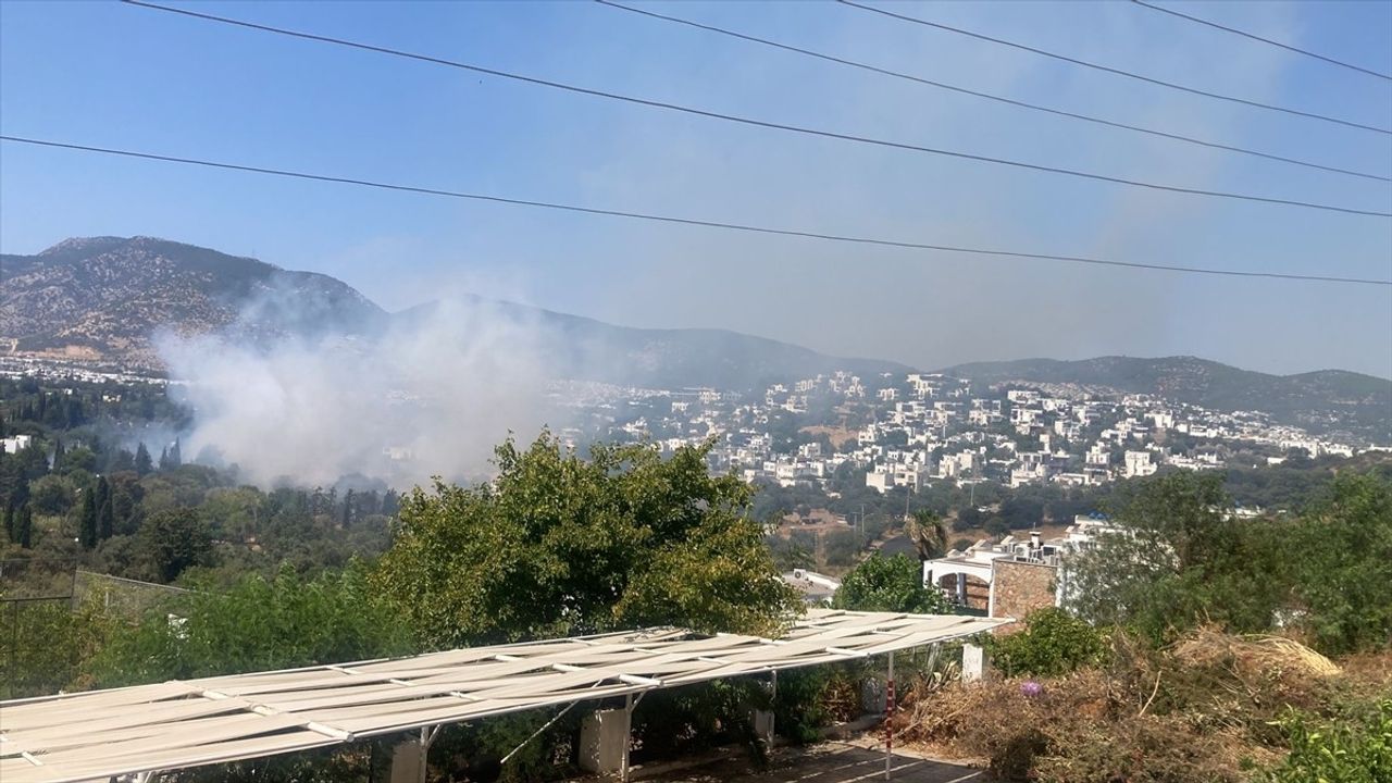 Muğla'daki Yangınlar Kontrol Altına Alındı