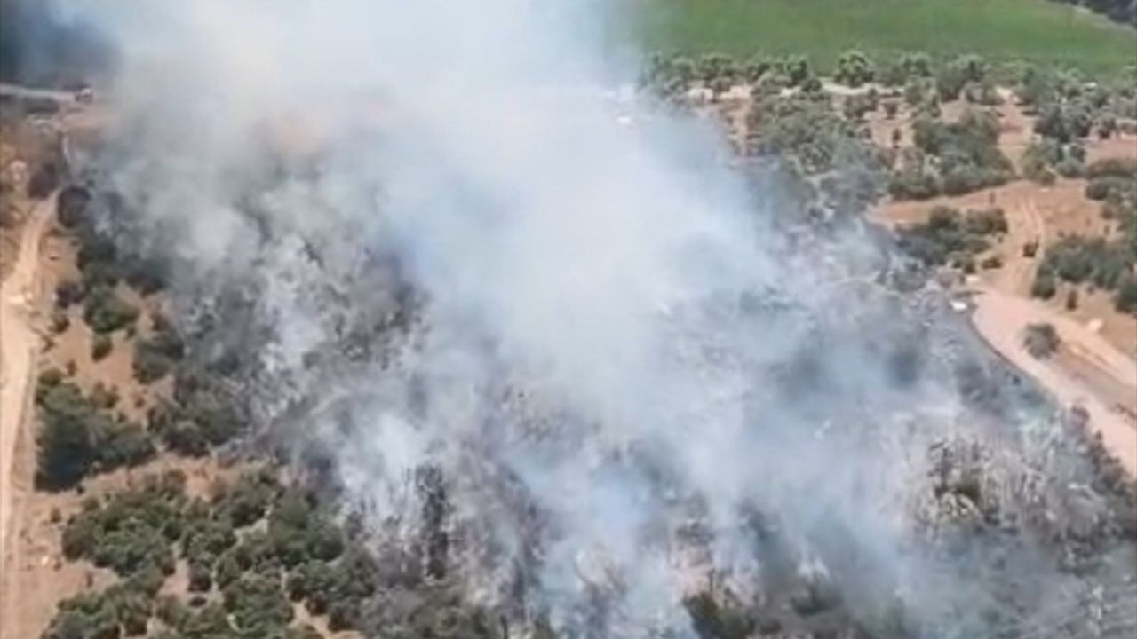 Muğla'nın Milas İlçesinde Ziraat Alanında Yangın Söndürüldü