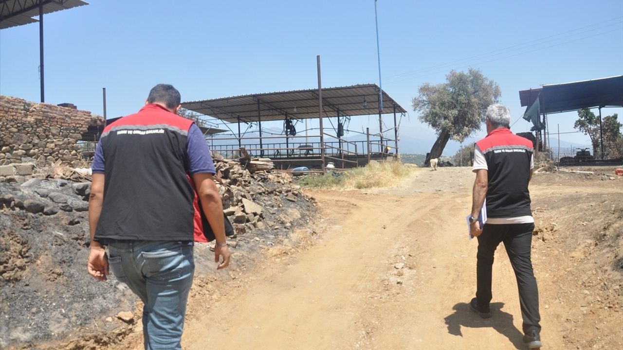 Ödemiş'te Yangından Kurtarılan Hayvanlar Sahiplerine Teslim Edildi