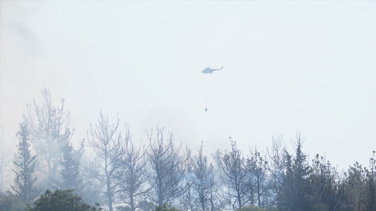 Orman Yangını Tekirdağ'dan Çanakkale'ye Sıçradı