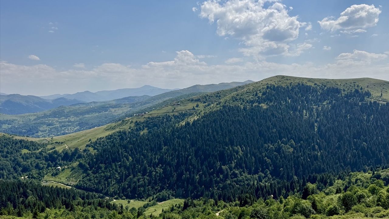 Paşakonağı Yaylası'nın Doğal Güzellikleri