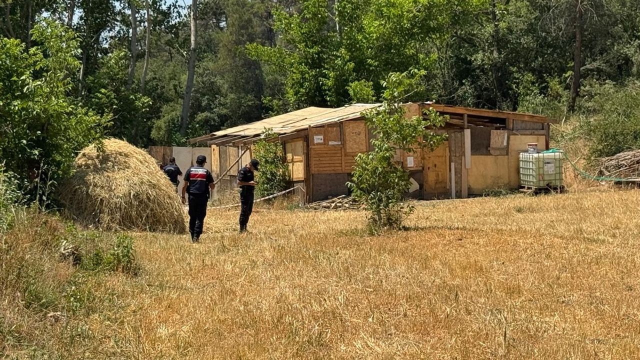 Sakarya'da Kayıp Şahıs Hayatını Kaybetti