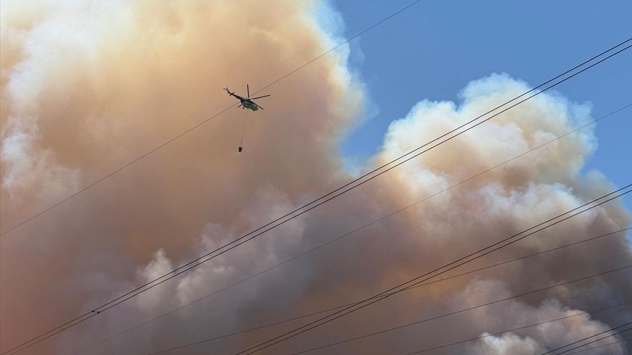 Sakarya'da Orman Yangınına Hızlı Müdahele
