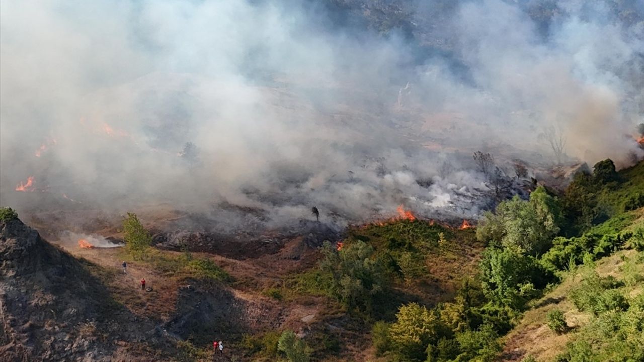 Sakarya'da Orman Yangınına Müdahale Başladı