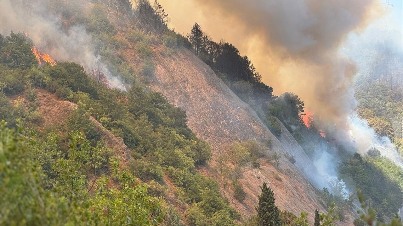 Sakarya'da Orman Yangınına Müdahale Devam Ediyor