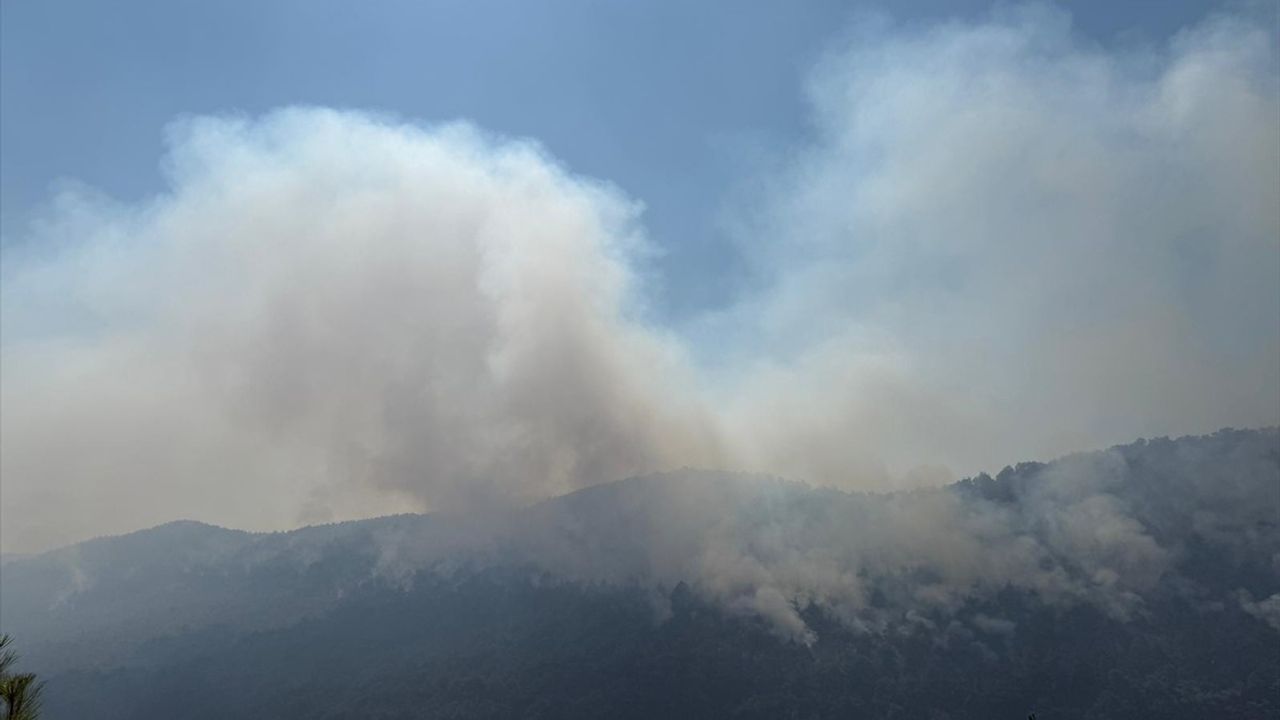 Sakarya'daki Orman Yangını Bilecik'e Sıçradı