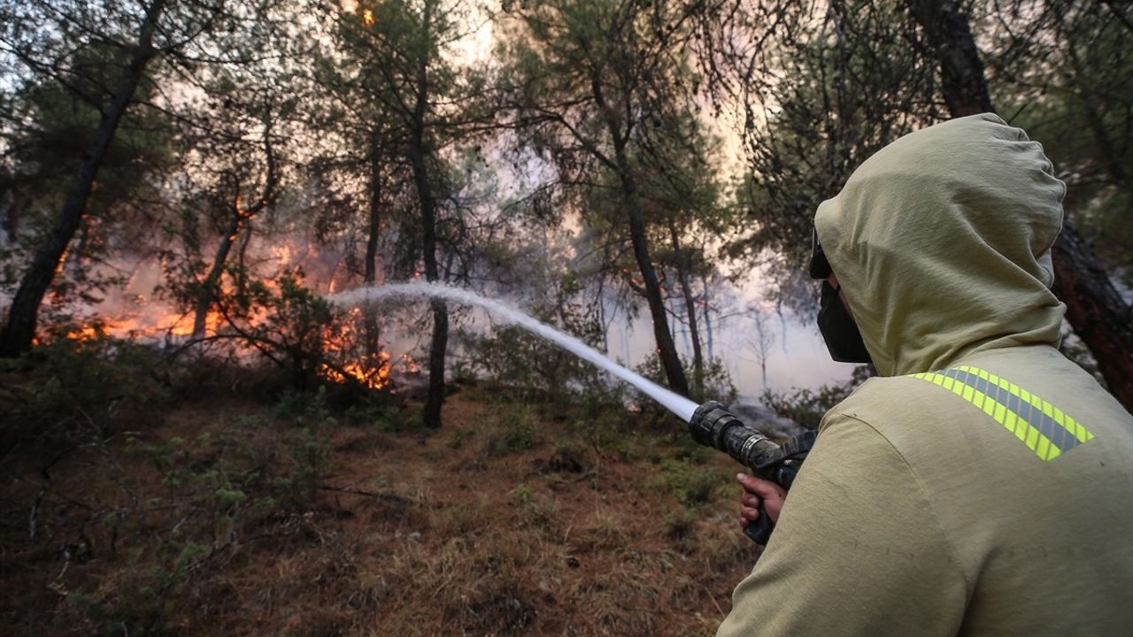 Sakarya'daki Orman Yangınında Müdahale Çalışmaları Devam Ediyor