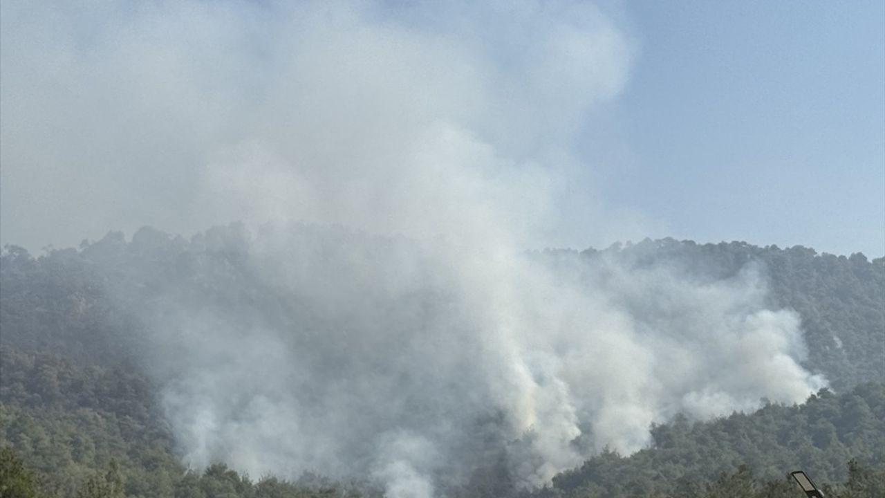 Sakarya'dan Bilecik'e Sıçrayan Orman Yangını Üçüncü Günde Kontrol Altına Alınmaya Çalışılıyor