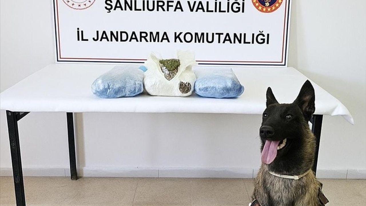 Şanlıurfa'da Uyuşturucu Operasyonu: 3 Gözaltı
