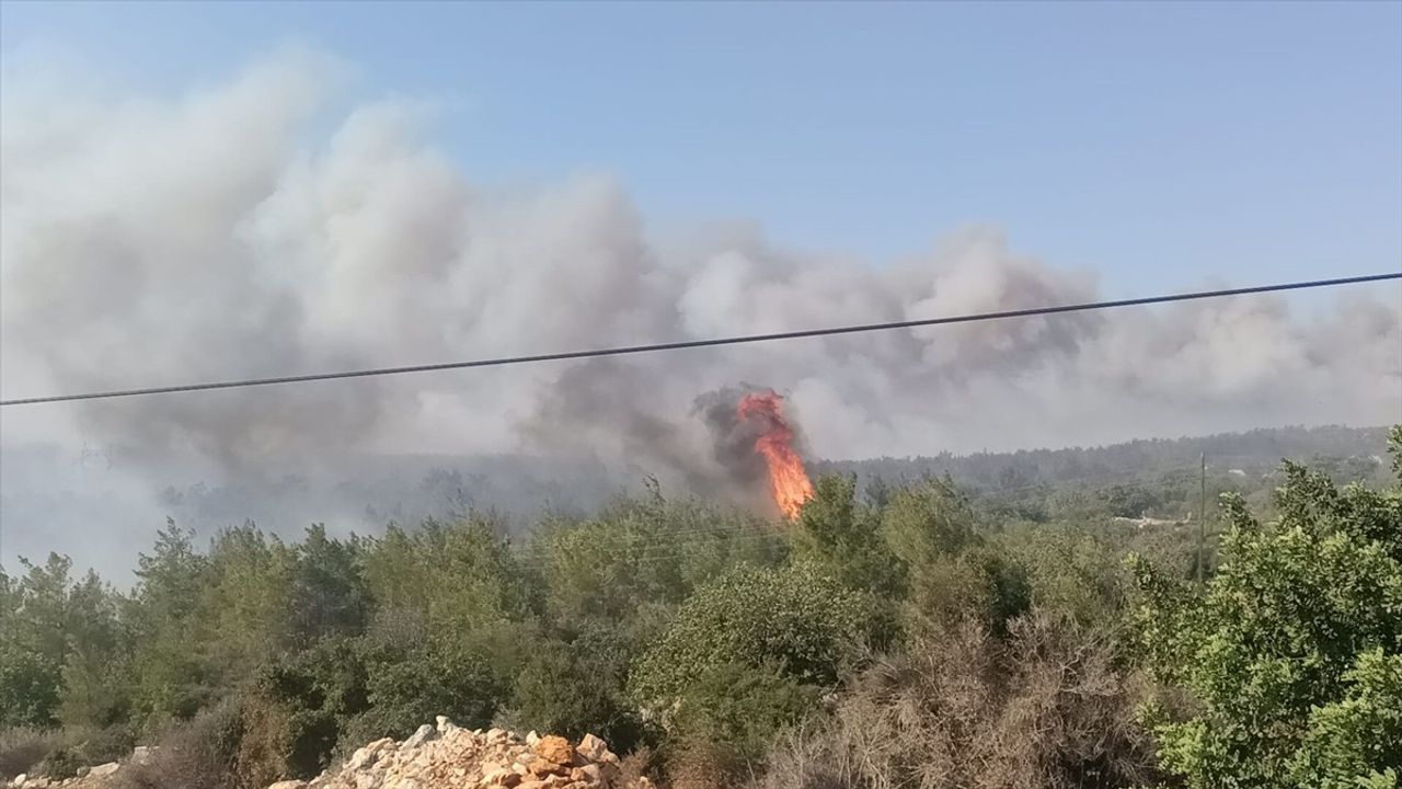 Silifke'de Orman Yangınına Hızlı Müdahale