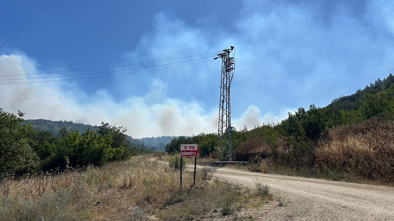 Silivri'de Orman Yangınına Havadan ve Karadan Müdahale Devam Ediyor