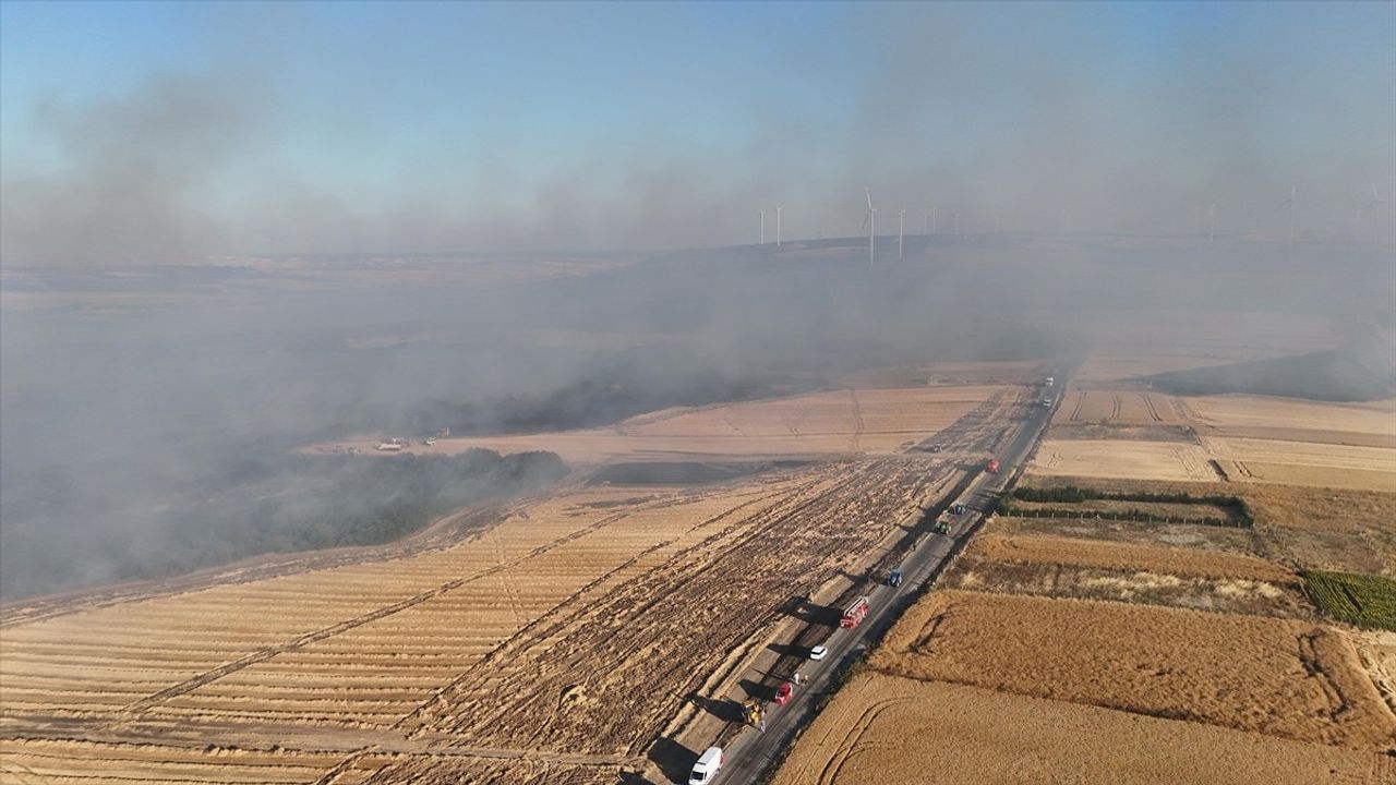 Silivri'deki Orman Yangınına Müdahale Devam Ediyor