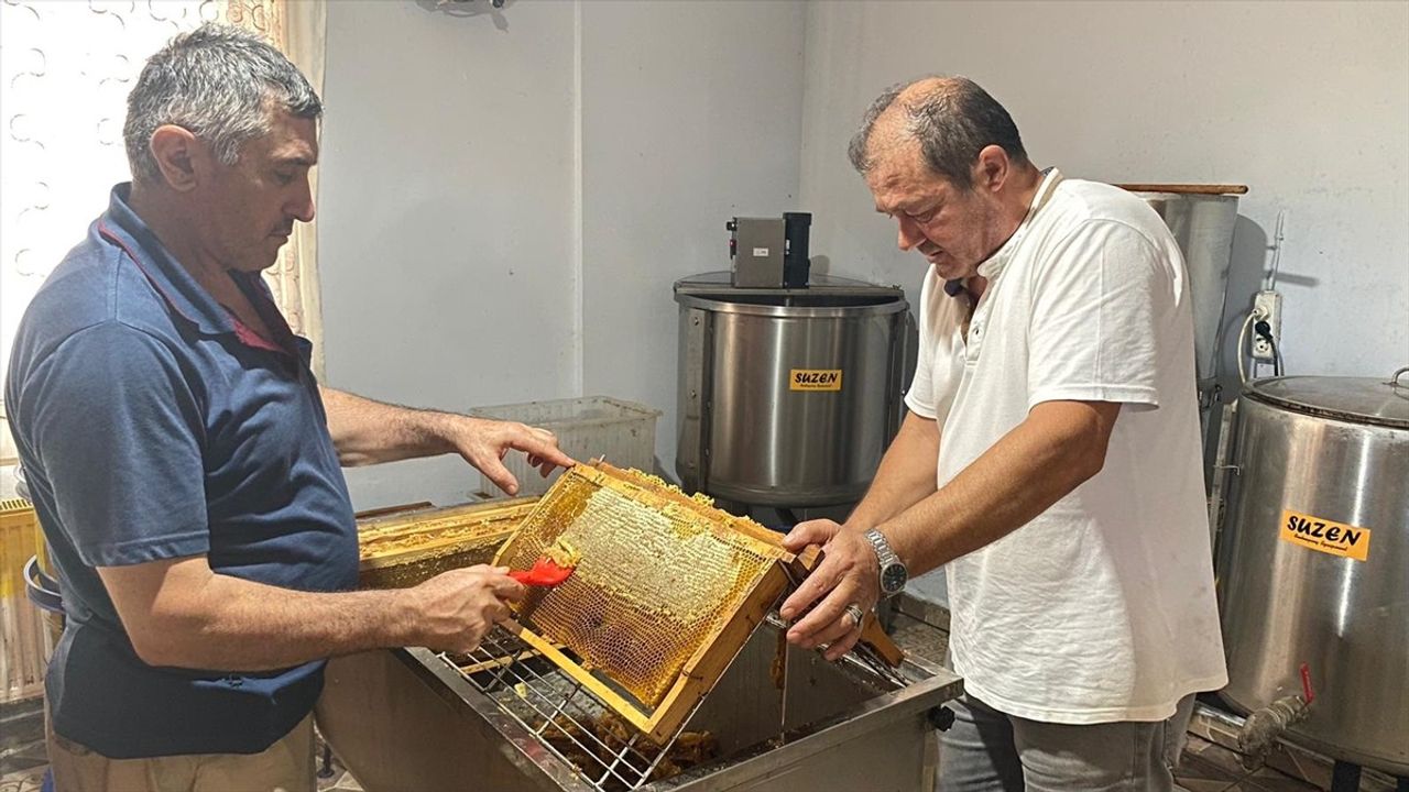 Sinop'un Tescilli Kestane Balı Hasadı Tamamlandı
