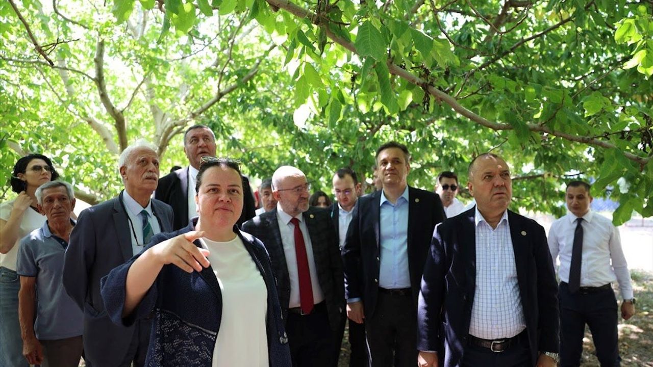 TBMM Komisyonu Denizli'de Zirai Donu İnceledi