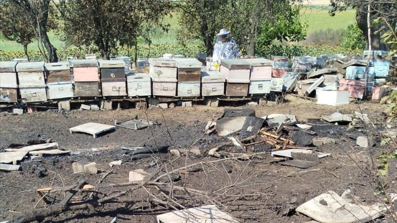 Tekirdağ'da Anız Yangını 400 Arı Kovanına Zarar Verdi
