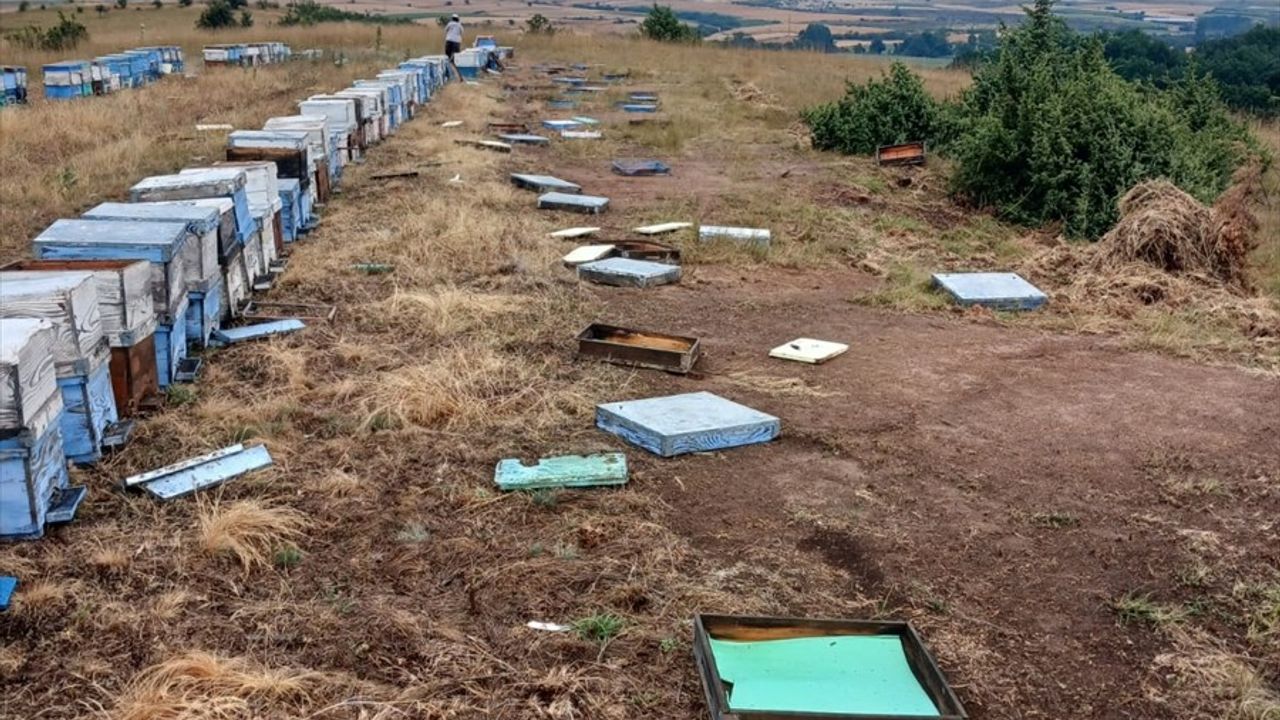 Tekirdağ'da Dolu Tarım Alanlarına Zarar Verdi