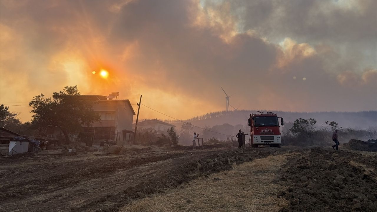 Tekirdağ'daki Anız Yangını Ormana Sıçradı