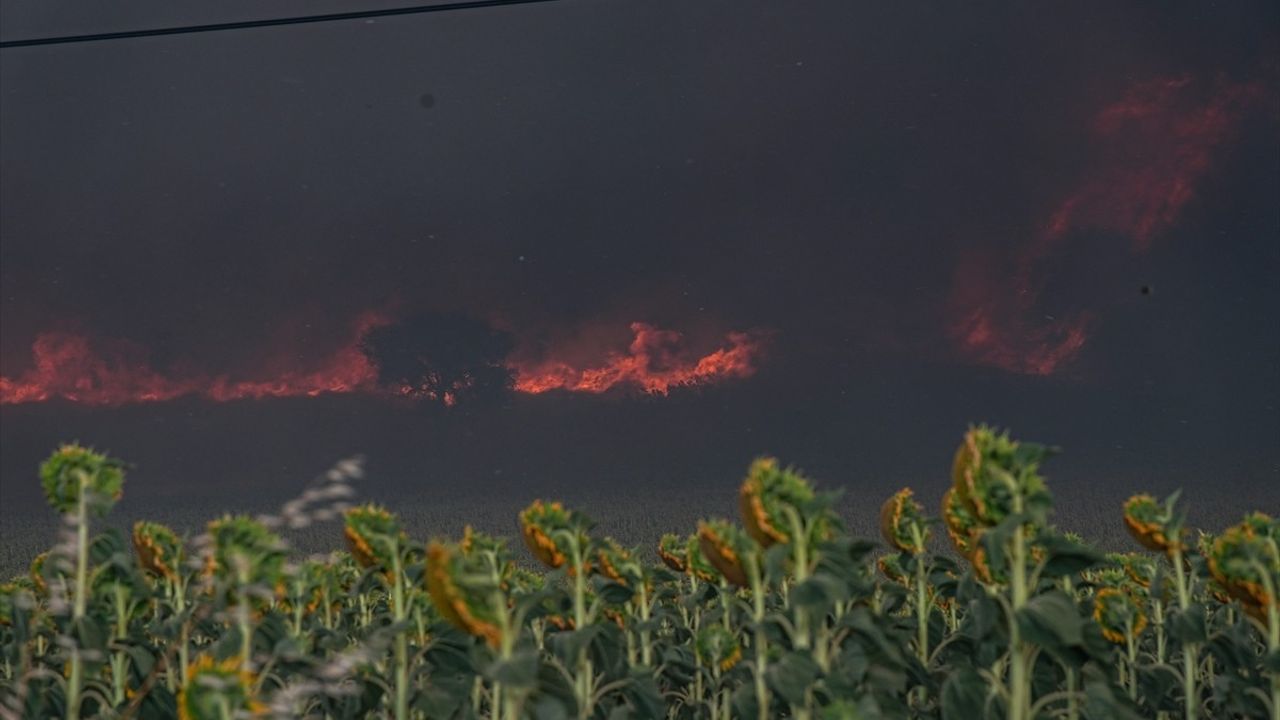 Tekirdağ'daki Orman Yangını Çanakkale'ye Ulaştı