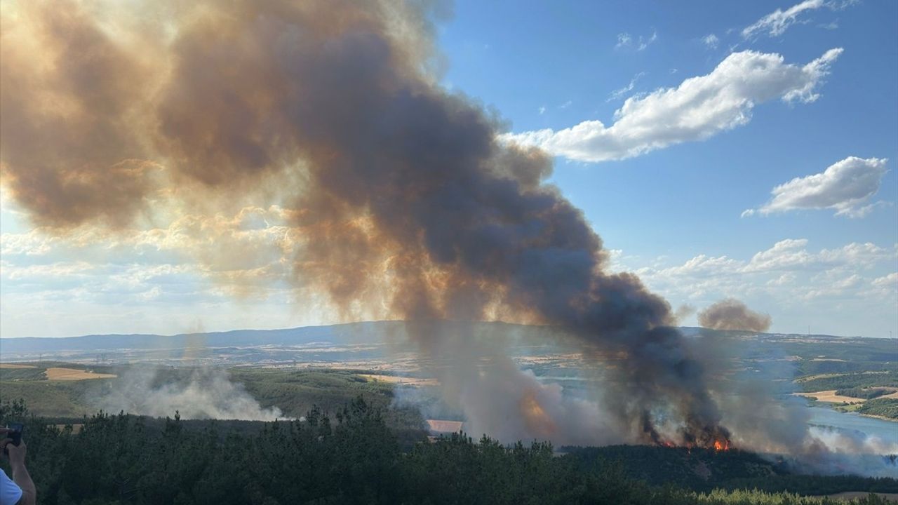 Tekirdağ'da Orman Yangınına Hızlı Müdahale