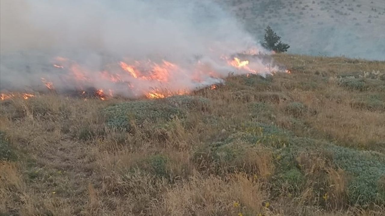 Tokat'ta Anız Yangını: 50 Dönüm Zarar Gördü