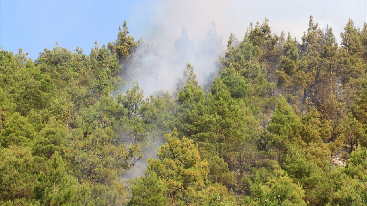 Tokat'taki Orman Yangını Kontrol Altına Alındı