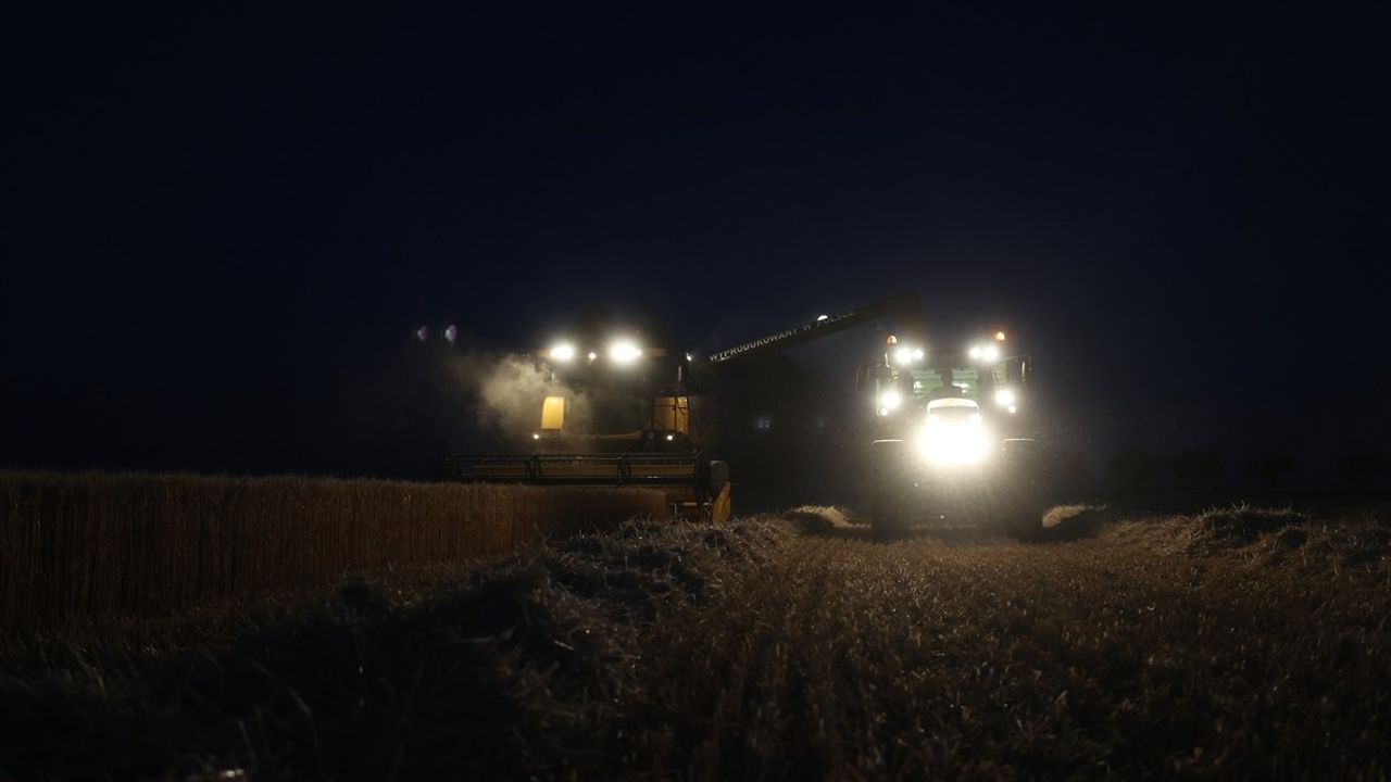 Trakya'da Buğday Hasadı Gece Yapılıyor