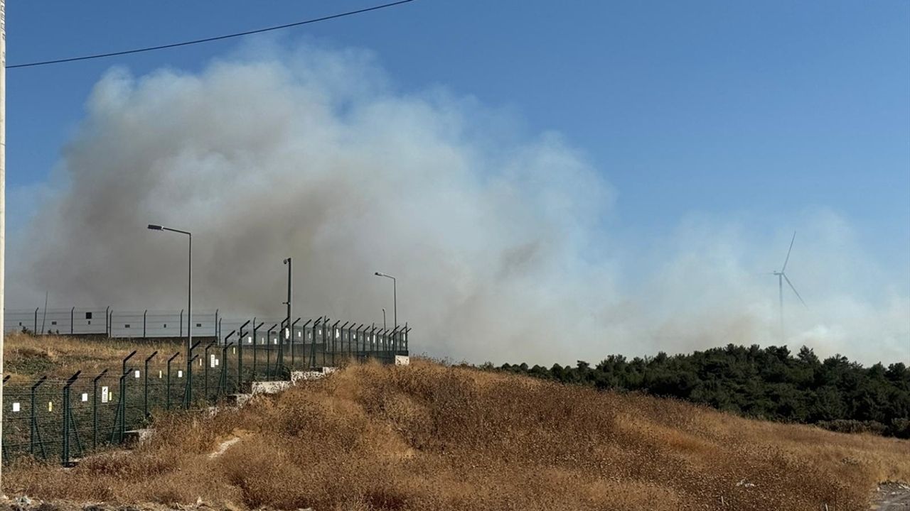 Urla'daki Orman Yangınına Müdahale Devam Ediyor