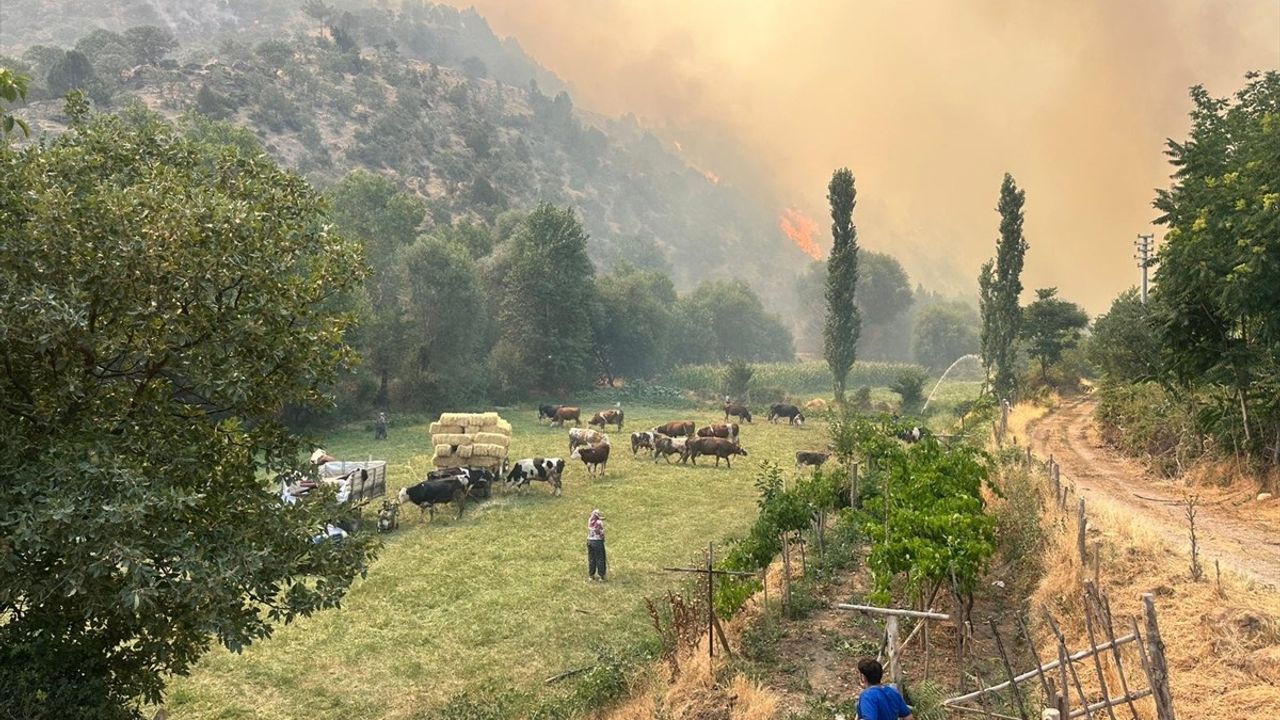 Uşak'ta Orman Yangını İkinci Gününde