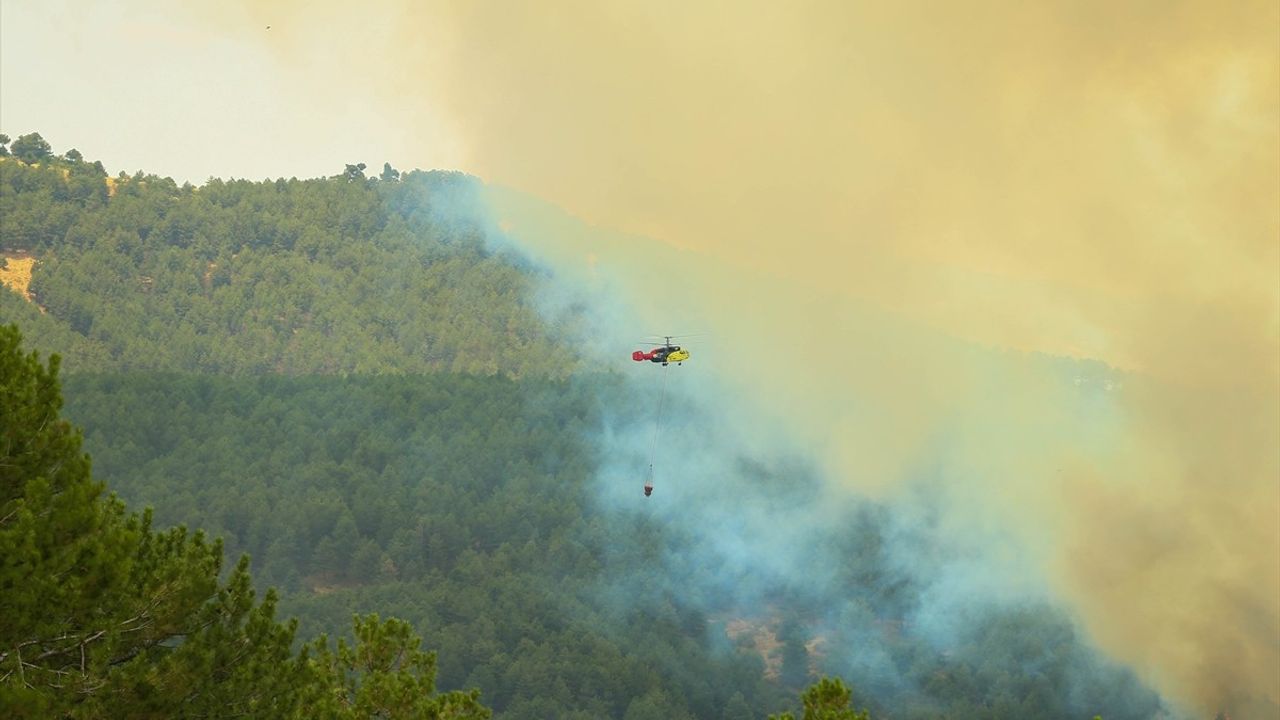 Uşak'ta Orman Yangını Kontrol Altına Alındı