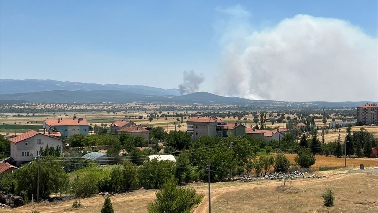 Uşak'taki Meşelik Yangınına Müdahale Devam Ediyor