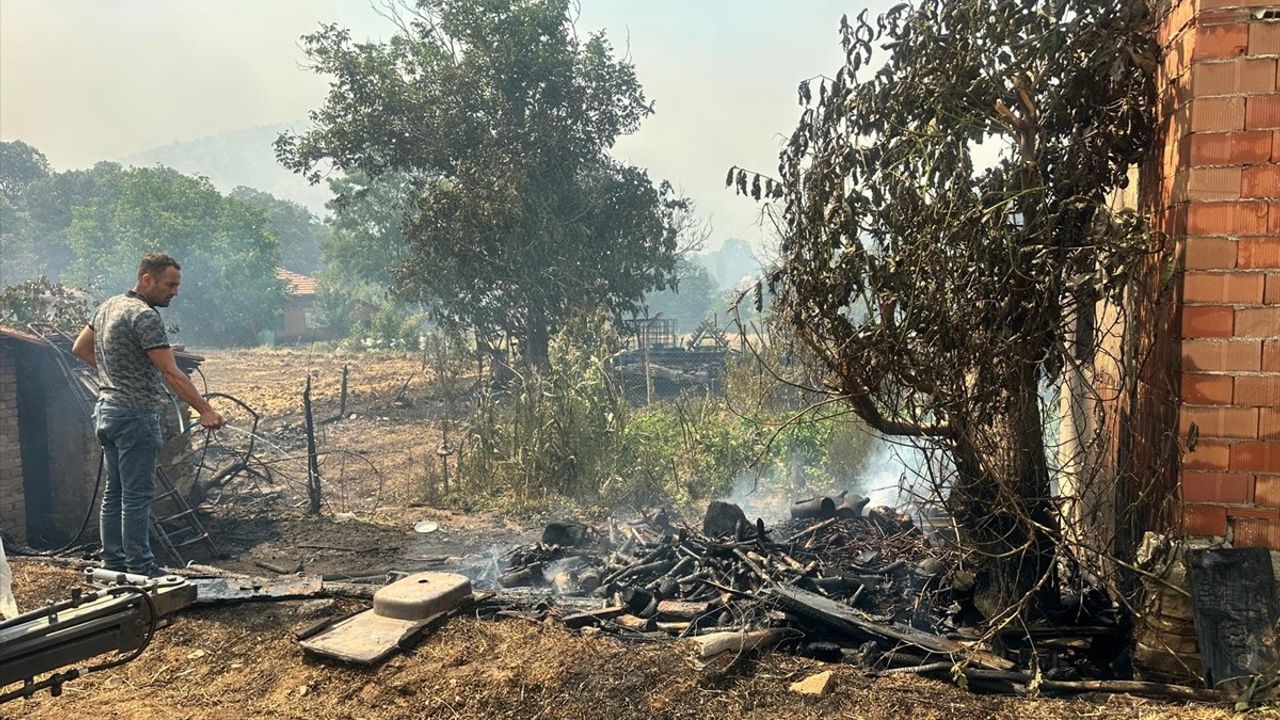 Uşak'taki Orman Yangınına Müdahale Devam Ediyor