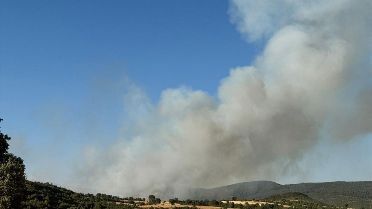 Uşak ve Manisa'daki Yangınlara Hava ve Karadan Müdahale