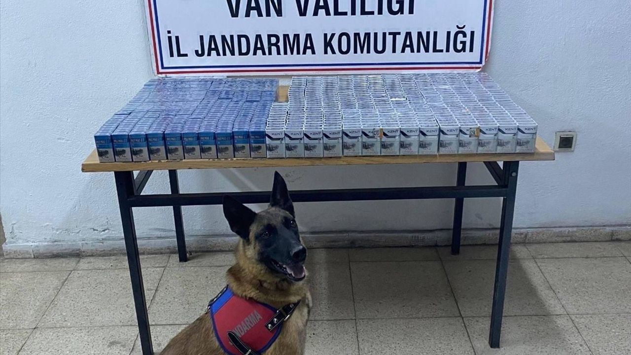 Van'da Kaçakçılık Operasyonları: 32 Gözaltı