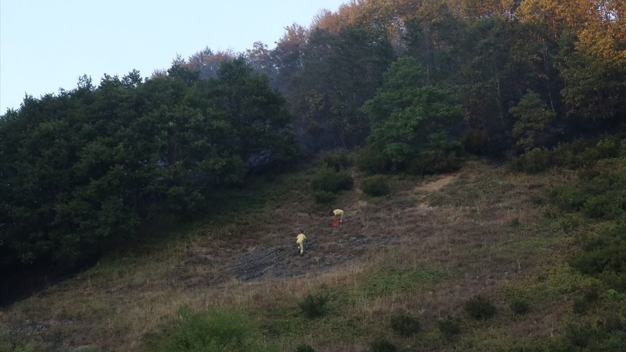 Yalova-Bursa Sınırındaki Orman Yangını Kontrol Altına Alındı