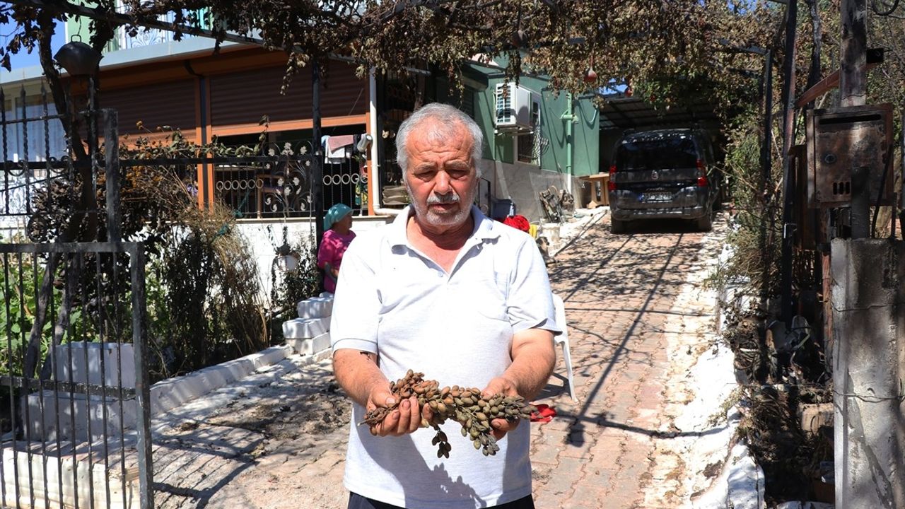 Yaşlı Çiftin Evi Yangından Rüzgarın Sayesinde Kurtuldu