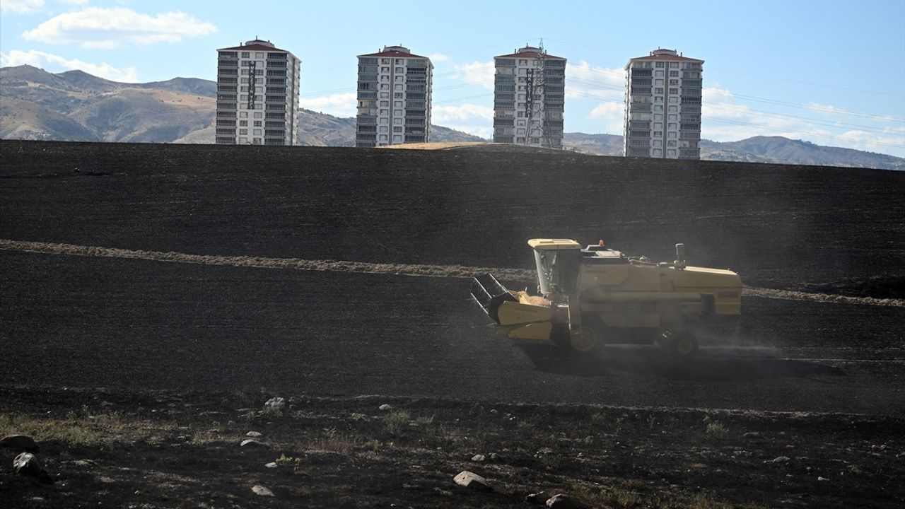 Yenimahalle'de Ekili Arazide Yangın: Kontrol Altına Alındı