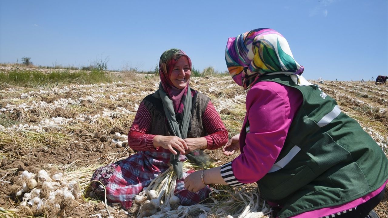 Yeşilay'dan Emekçi Kadınlara Destek Ziyareti