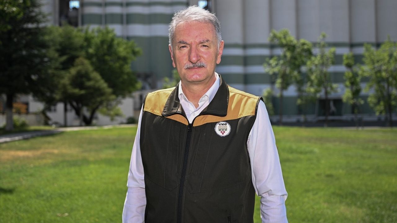 2023 Fındık Rekoltesi 453 Bin Ton Bekleniyor