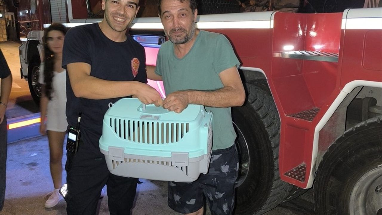Adana'da Balkon Demirlerine Sıkışan Kedi Kurtarıldı