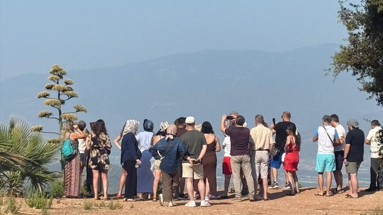 Antalya'da Nadir Çiçek Açan Agave Bitkisi Turistlerin İlgi Odağı Oldu