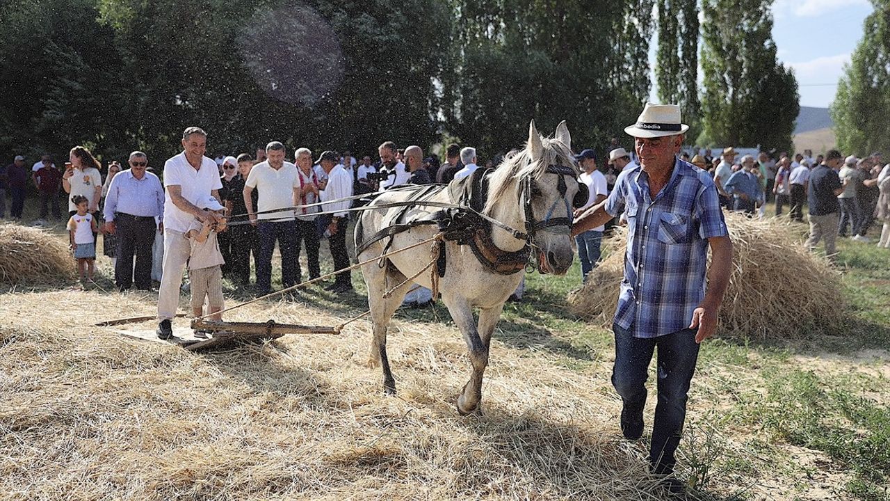 Bayburt'ta 6. Harman Festivali Coşkusu
