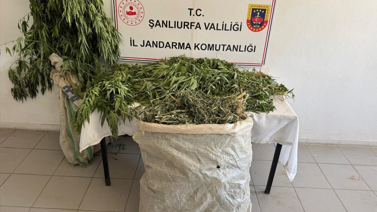 Birecik'te Uyuşturucu Operasyonu: 3 Gözaltı